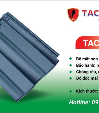 TACO 04