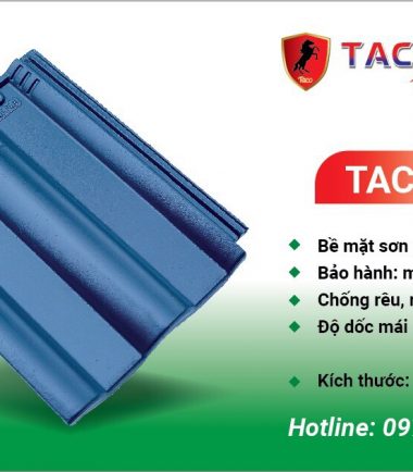 TACO 05