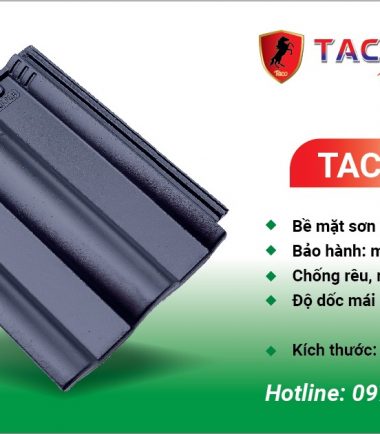 TACO 06
