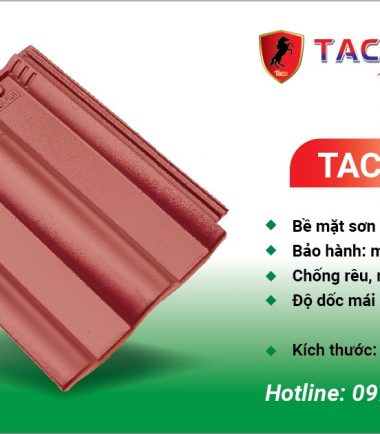 TACO 07