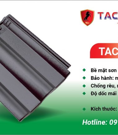 TACO 09