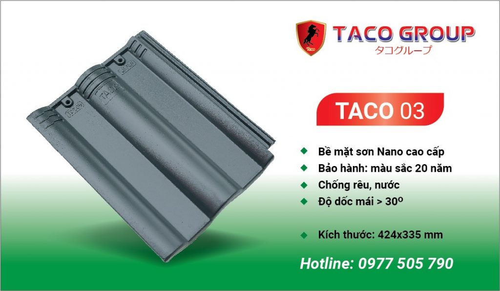 TACO 03