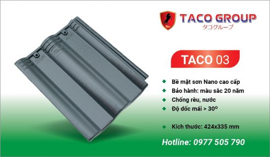 TACO 03