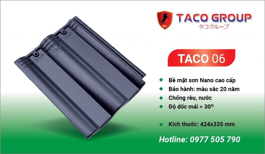 TACO 06