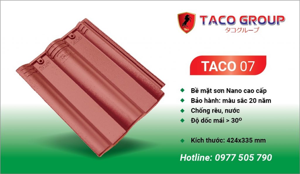 TACO 07