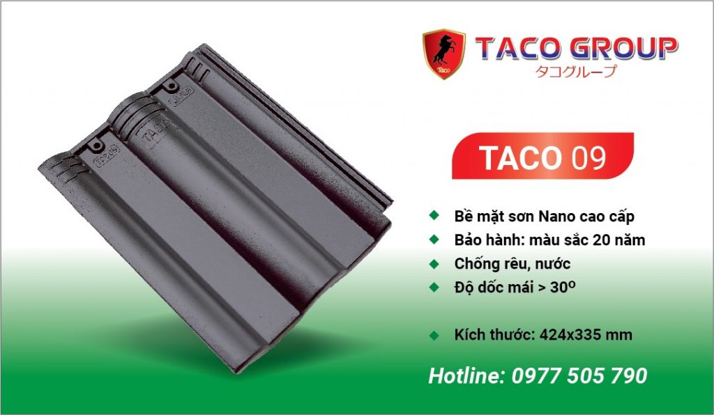 TACO 09