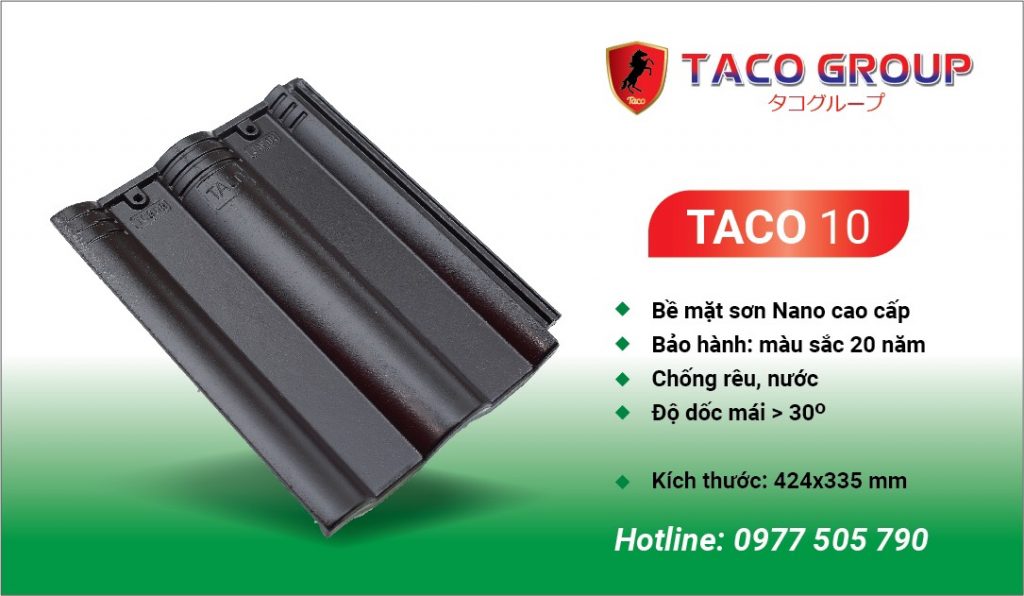 TACO 10