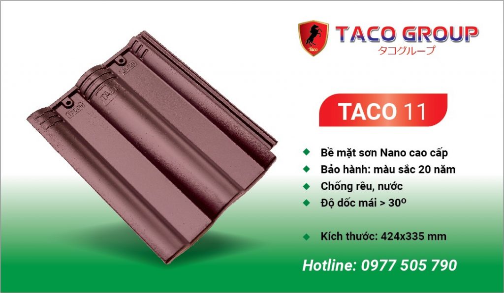 TACO 11
